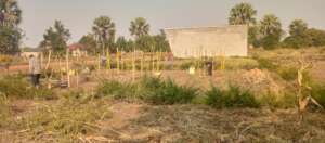 Working out ways to complete: Building Institute