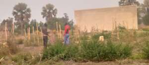 A plan to complete the Institute with gardens