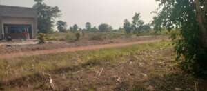 A plan to complete the Institute with gardens