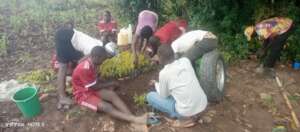 A practical lesson on environmental conservation