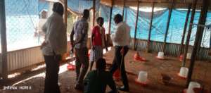 The Team survey how to conduct poultry farming