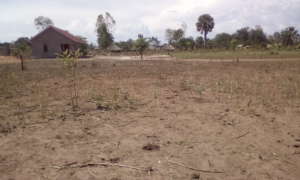 Surrounding homes in need of pipe water