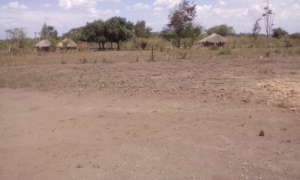 One of many more area in need of water