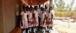 Boys Integrated into girls project