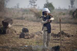 Ratticus Finch hard at work.