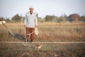 Ratticus Finch in action.