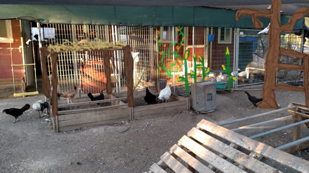 Help Turn Our Aviary Into A Paradise!