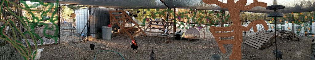 Help Turn Our Aviary Into A Paradise!