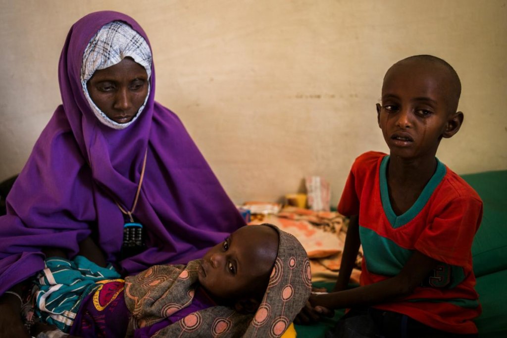 Emergency Relief Aid for Needy Ethio-Somali IDPs