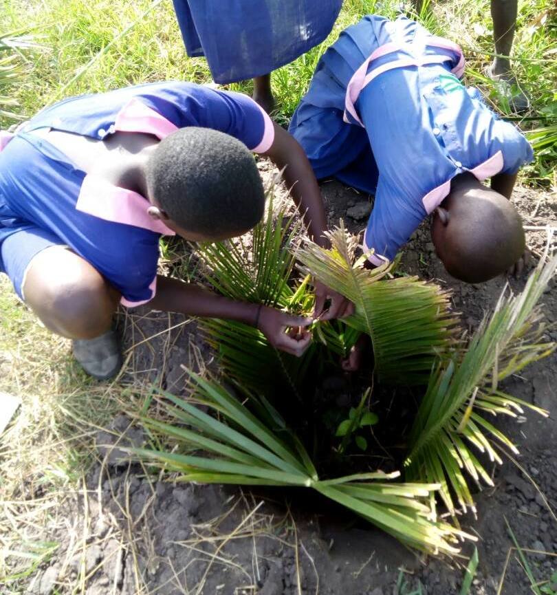 Trees per Child in 10 primary Schools in Bunyala