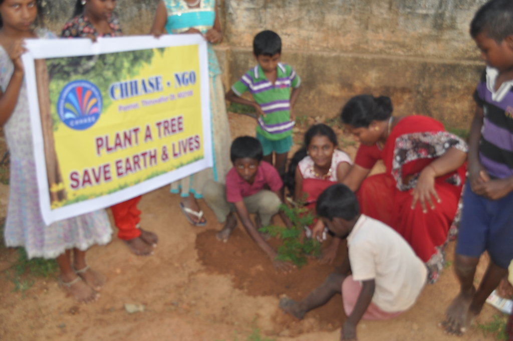 Help to plant 1000 trees in rural schools