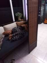 Woman coming to rest in our housing
