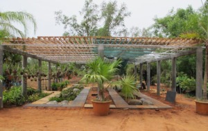 Botanical Garden - green house