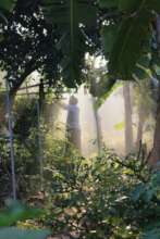 Farming with Krishna - Natural farming