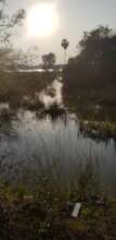 Still water in Irumbai lake in February
