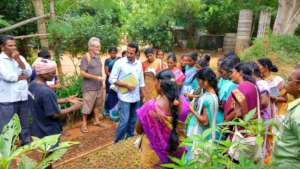 Training in regenerative forestry  nursery
