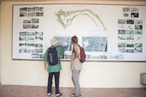 Regeneration of city estuary - to nature park