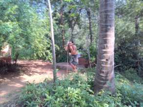 Listening to the forest