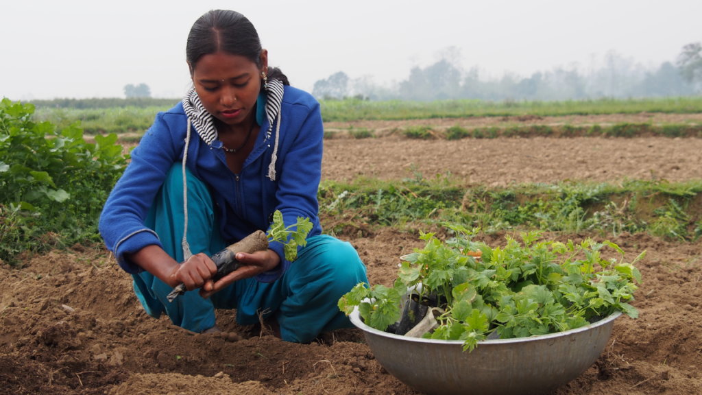 Vocational Training for Freed Child Slaves, Nepal