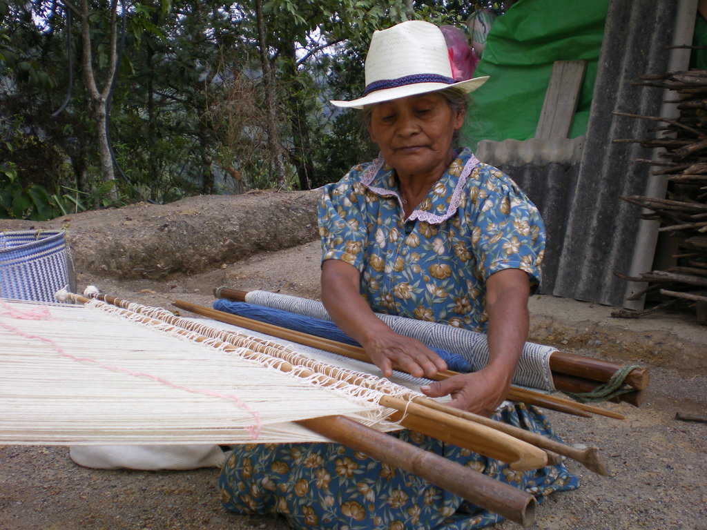 Support indigenous women's self-sufficiency in MX