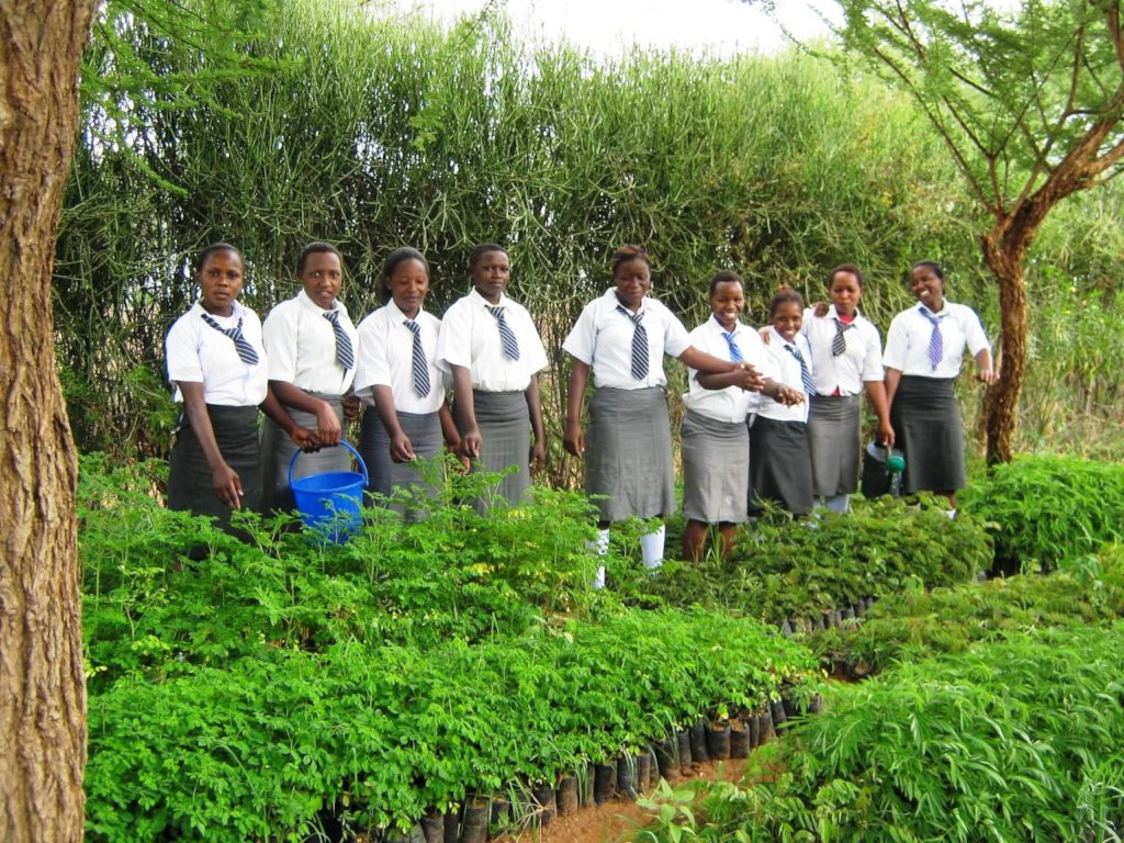 Moringa for Health and Water Purification