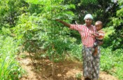 Moringa for Health and Water Purification