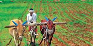 FARMER-1