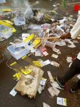 Hired goons used to destroy election materials