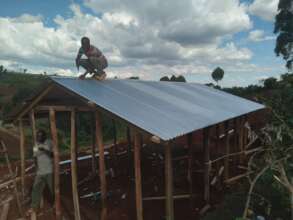 Roof taking shape for the new house to shelter.