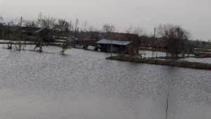 Our area