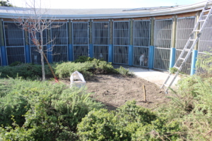 Building in progress