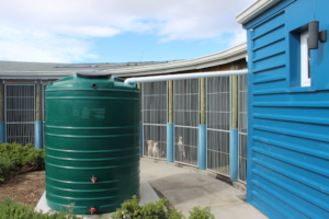 Our rainwater harvesting system