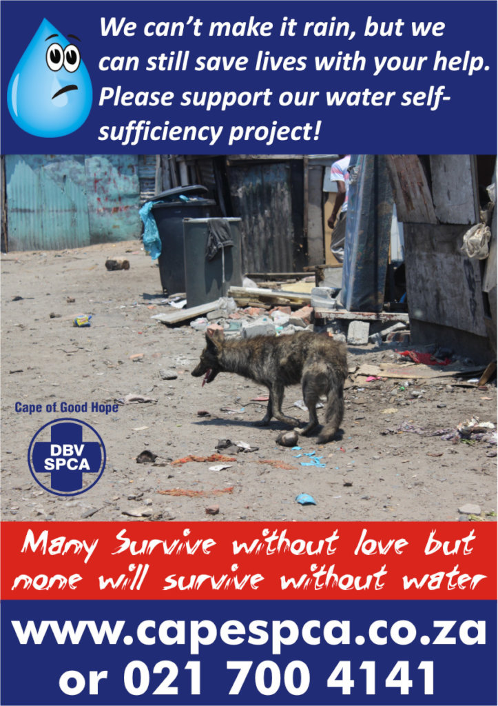 CAPE TOWN DROUGHT RELIEF FOR THOUSANDS OF ANIMALS