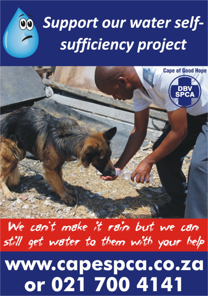 CAPE TOWN DROUGHT RELIEF FOR THOUSANDS OF ANIMALS