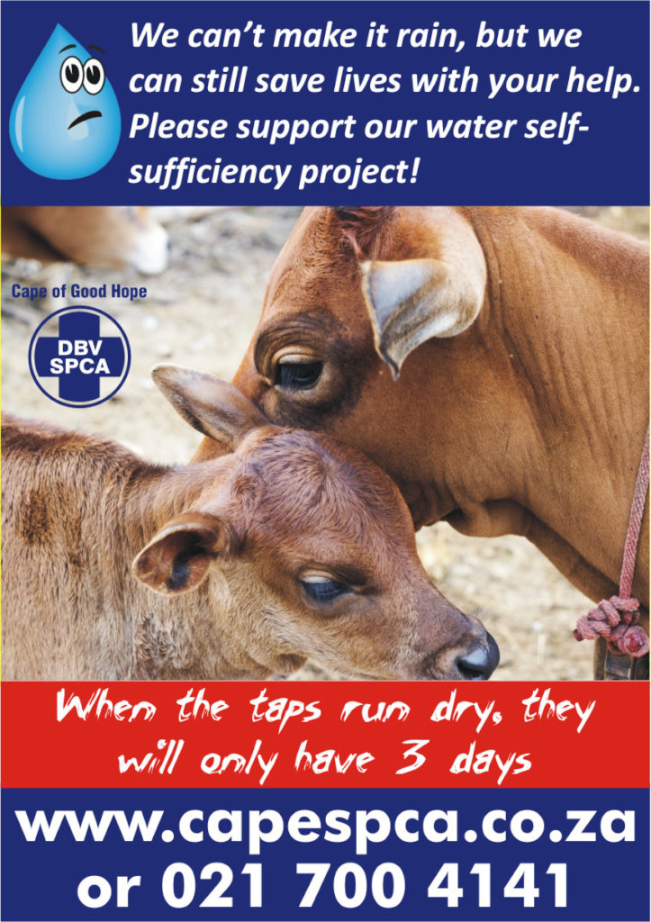 CAPE TOWN DROUGHT RELIEF FOR THOUSANDS OF ANIMALS