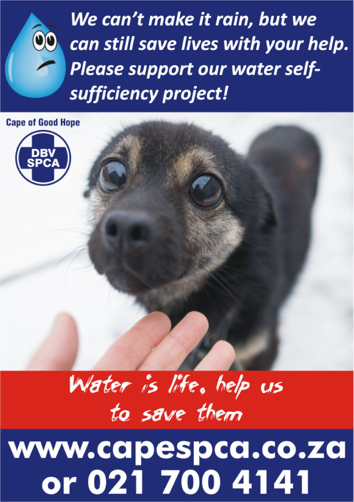 Western Cape Spca Dogs Near Me Reports On CAPE TOWN DROUGHT RELIEF
