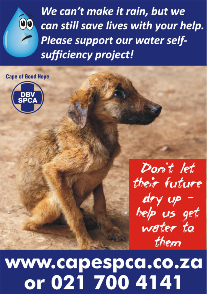 Reports on CAPE TOWN DROUGHT RELIEF FOR THOUSANDS OF ANIMALS