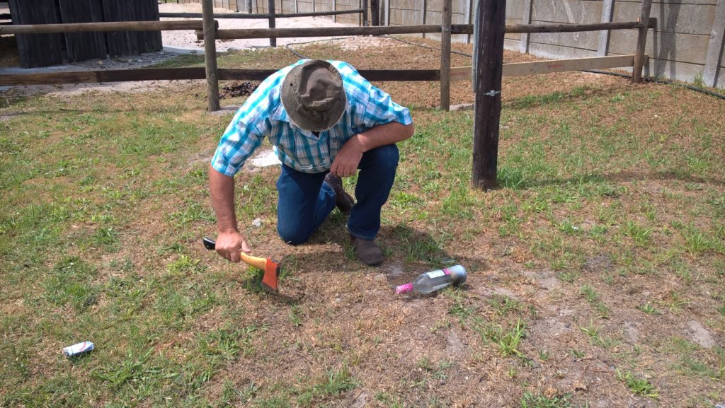 CAPE TOWN DROUGHT RELIEF FOR THOUSANDS OF ANIMALS
