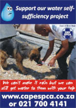 Inspector Siya to the Rescue