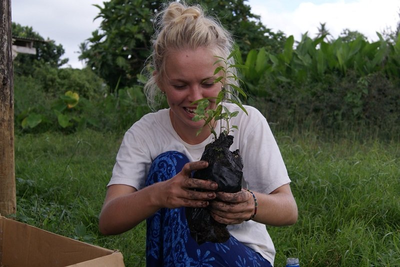 From Little Seeds, Grow Mighty Trees