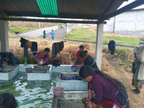 Women using the communal sanitation station