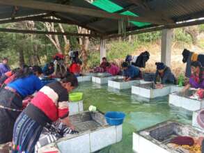 Women using the communal sanitation station