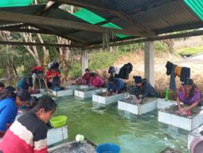 Women using the communal sanitation station