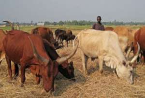 Burundi: Donation of Cattle to 6 Needy Families