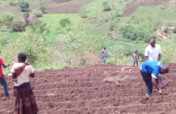 Rooting Out Infant Malnutrition