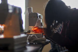 Sewing work