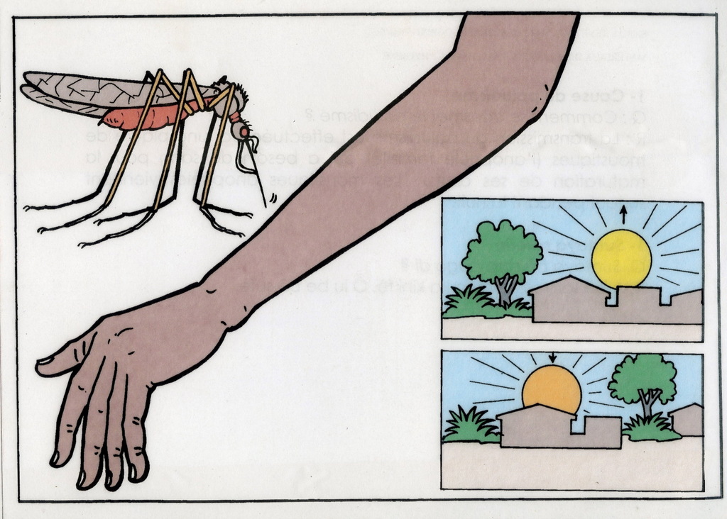 Peer Education Materials, What Causes Malaria?