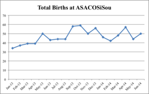 Total Births at Clinic