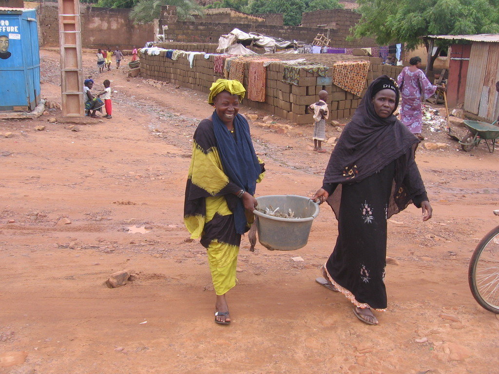 Action For Health : Empowering Communities in Mali