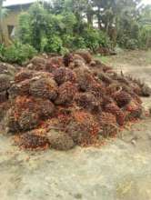 The harvest of the month